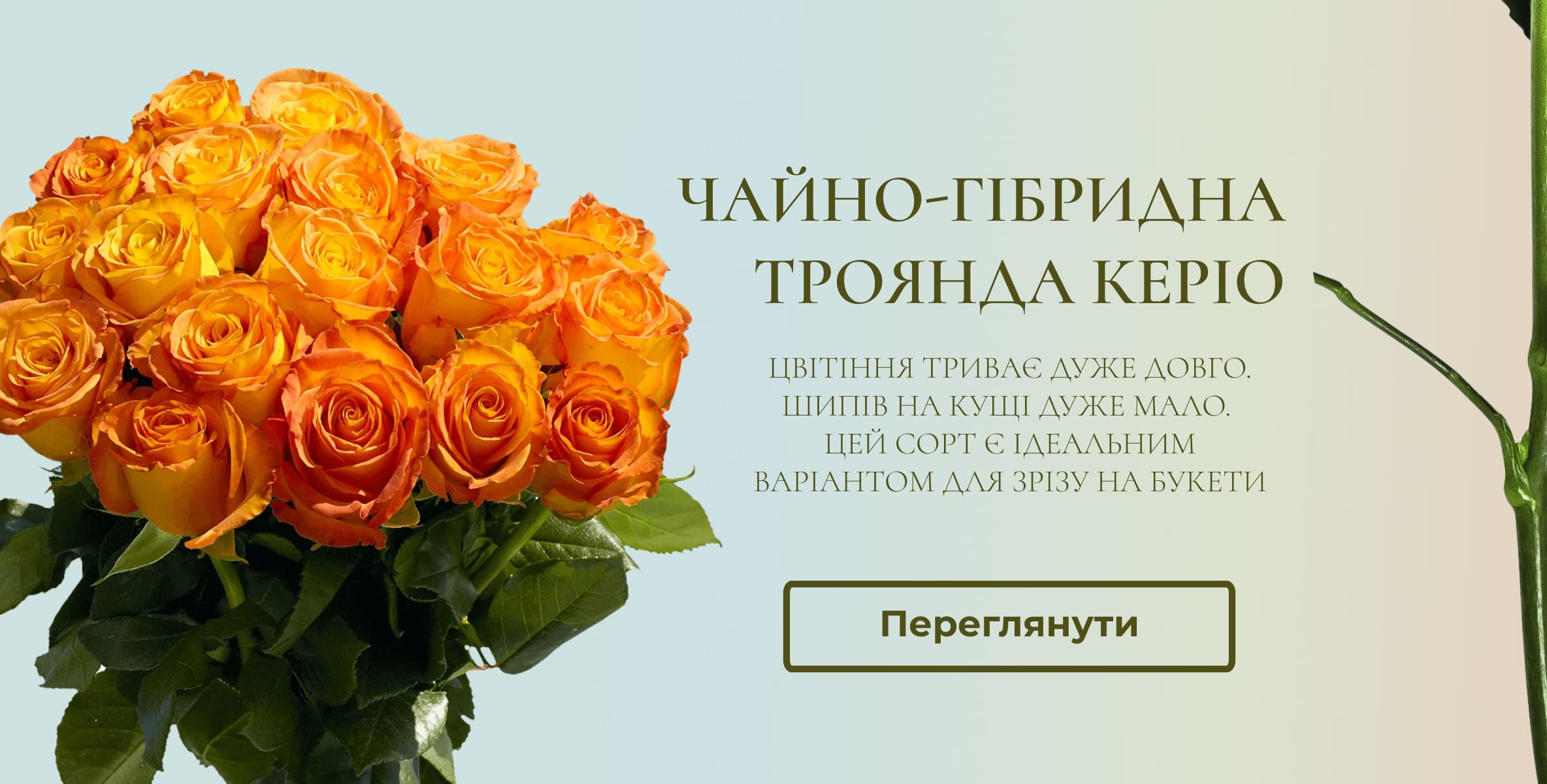 Керіо
